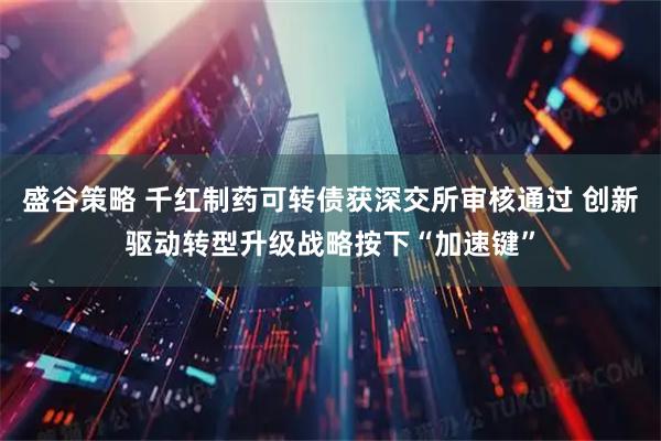 盛谷策略 千红制药可转债获深交所审核通过 创新驱动转型升级战略按下“加速键”