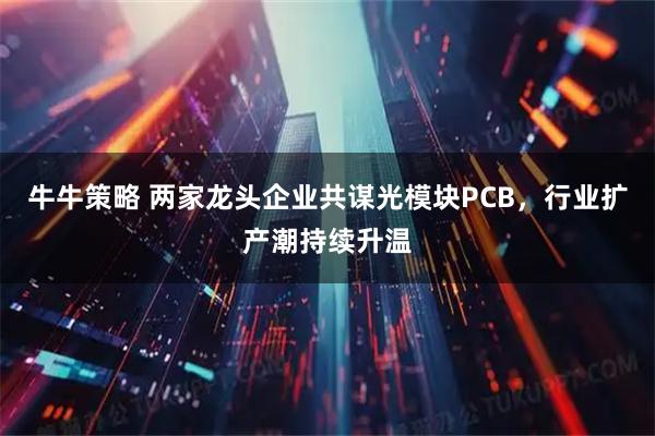 牛牛策略 两家龙头企业共谋光模块PCB，行业扩产潮持续升温